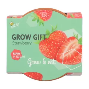 Grow gifts aardbei 30st. - afbeelding 2