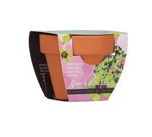Grow gifts klavertje 4 30st. - afbeelding 2