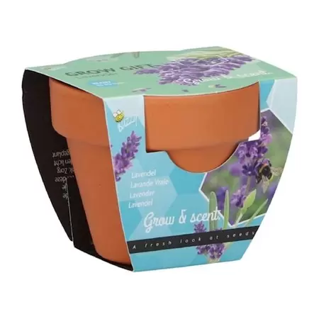 Grow gifts lavendel 30st. - afbeelding 1