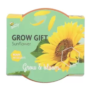 Grow gifts zonnebloem 30st. - afbeelding 2