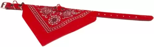 Halsband met zakdoek 30 cm rood - afbeelding 1