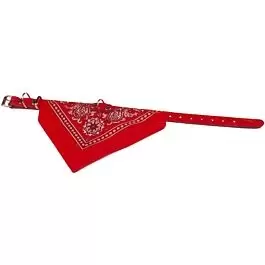 Halsband met zakdoek 70cm rood