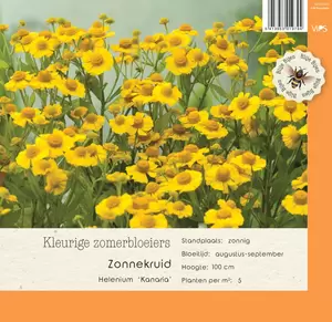 VIPS Helenium Kanaria P9