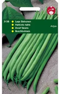 HORTITOPS Haricot vert argus 50g