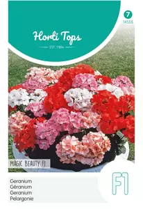 HORTITOPS Pelargonium f1 magic beauty mx 10zd - afbeelding 1