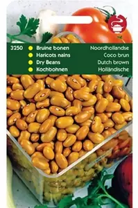 HORTITOPS Stamboon noordhollands bruin 100g