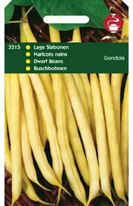 HORTITOPS Stamslaboon gondola 100g