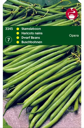 HORTITOPS Stamslaboon opera 100g