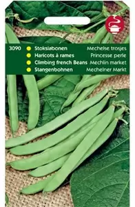 HORTITOPS Stokslaboon mechelse tros 100g