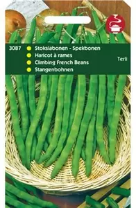 HORTITOPS Stokslaboon terli 100g