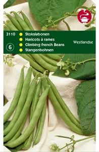 HORTITOPS Stokslaboon westlands dubbele 100g - afbeelding 2