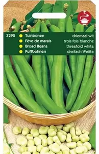 HORTITOPS Tuinboon driemaal wit 100g