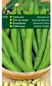 HORTITOPS Tuinboon driemaal wit 100g