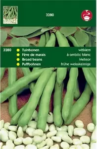 HORTITOPS Tuinboon witkiem 100g