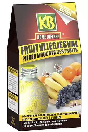 KB Fruitvliegjesval - afbeelding 1