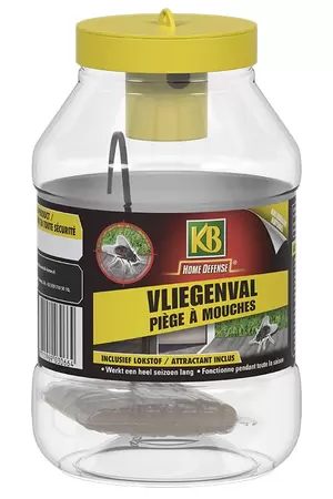 KB Vliegenval