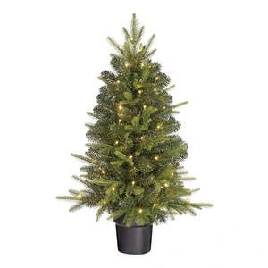 Kerstboom grimshaw fir ld bo pt d61h90cm grn