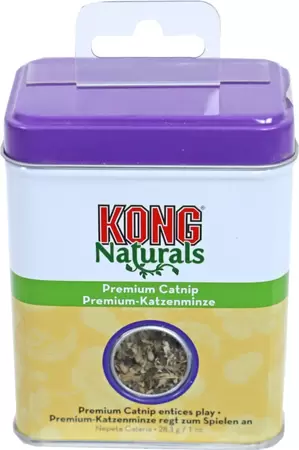 KONG Catnip potje 28g