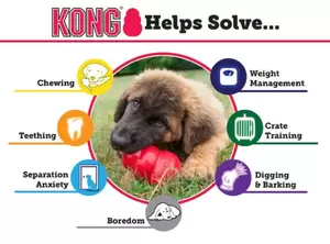 Kong Puppy kong medium groen/wit - afbeelding 4