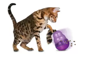 KONG Wobbler met catnip staart - afbeelding 3