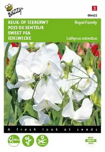 Lathyrus od royal family wit 4g