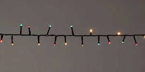 Led ivy 500l/l12m multi kerst zwart - afbeelding 2