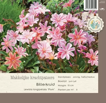 VIPS Lewisia longipetala Plum