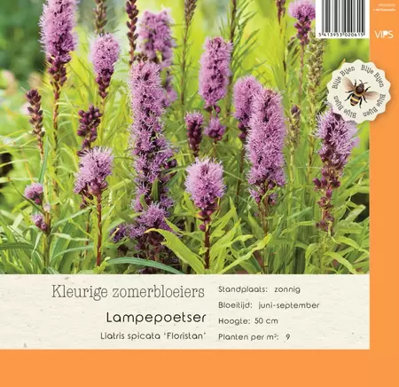 VIPS Liatris spicata Floristan p9