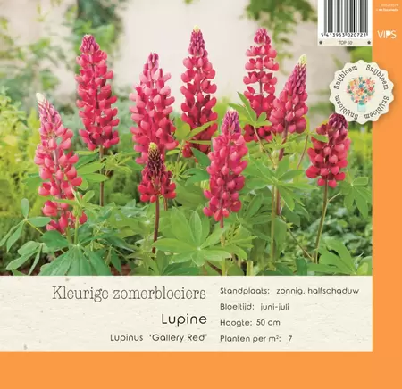 VIPS Lupinus Gallery Red p9