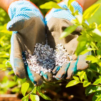 Meststoffen tuinplanten