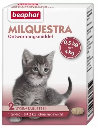 Milqestra kitten tot 4kg 2 tablett