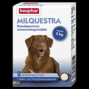 Milquestra hond 5-50kg 2 tabletten