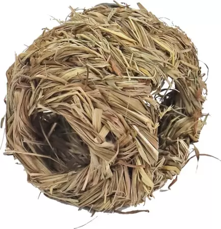 Nest gras 4 gaats 10cm - afbeelding 2