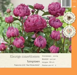 VIPS Paeonia (LD) Karl Rosenfield  P9