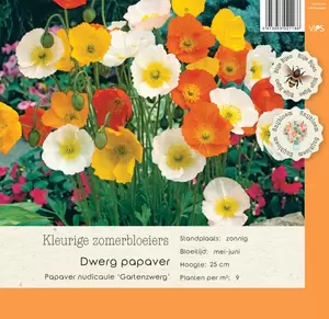 VIPS Papaver nudicaule Gartenzwerg  P9