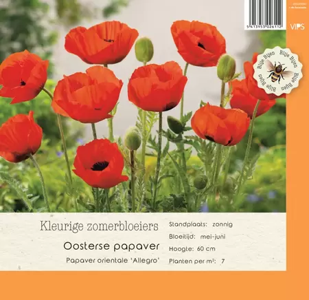 VIPS Papaver orientale Allegro P9