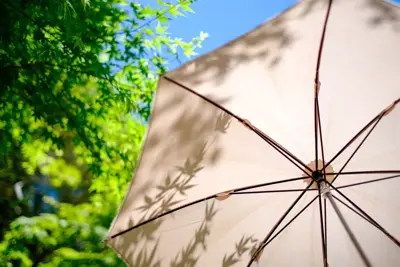 Parasols