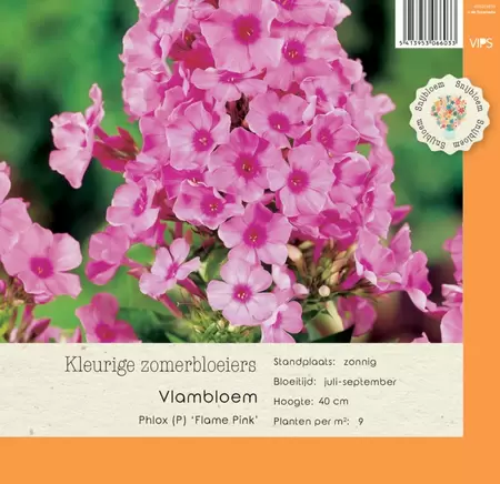 VIPS Phlox (P) Flame Pink P9