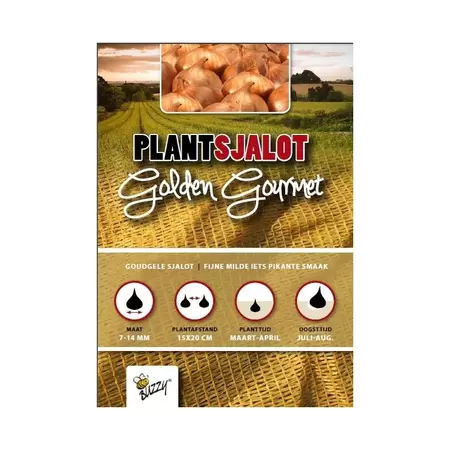 Plantsjalotten golden gourmet 500g