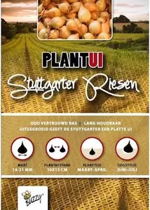 Plantuien stuttgarter riesen 250g - afbeelding 1