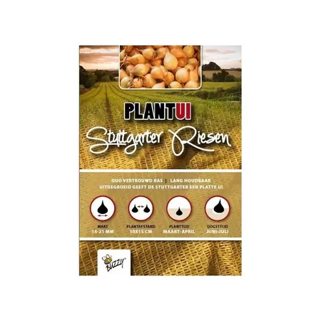 Plantuien stuttgarter riesen 500g - afbeelding 1