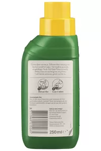 POKON Cactus&vetplant 250ml - afbeelding 2