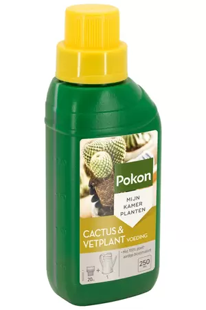 POKON Cactus&vetplant 250ml - afbeelding 1