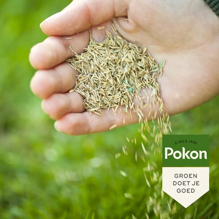 POKON Graszaad schaduw 1kg - afbeelding 3