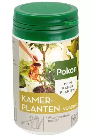 POKON Kamerplantenvoeding klassiek 100g - afbeelding 1