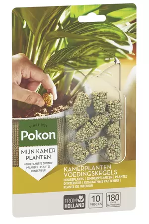 Pokon Kamerplanten Voedingskegels (10 stuks) - afbeelding 1