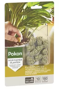 Pokon Kamerplanten Voedingskegels (10 stuks) - afbeelding 1