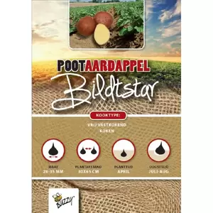 Pootaardappel bildtstar 1kg