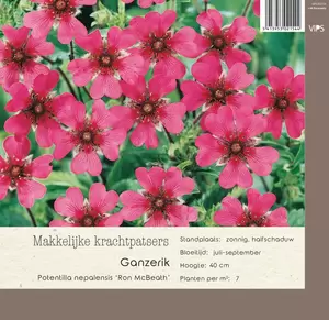 VIPS Potentilla nepalensis Ron Beath p9