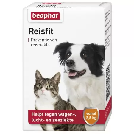 Reisfit 10 tabletten